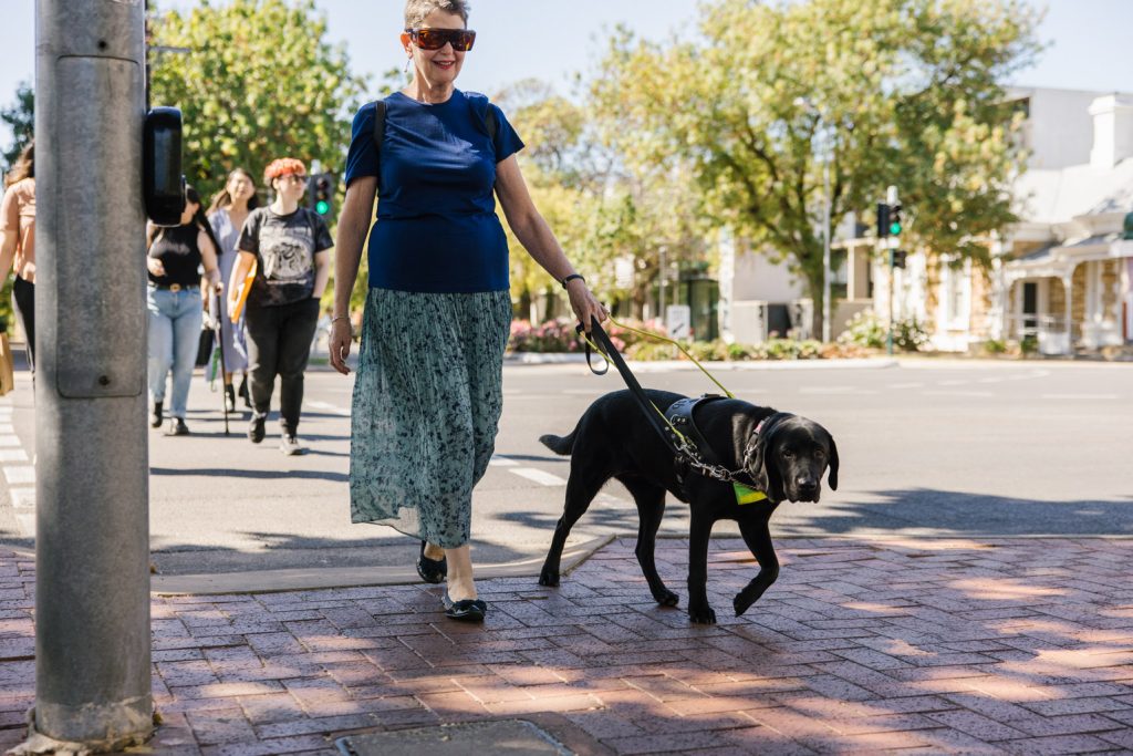 A woman with short grey hair wearing a blue top and floral skirt is walking with her assistance dog - a black labrador